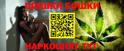 дмт Дубна