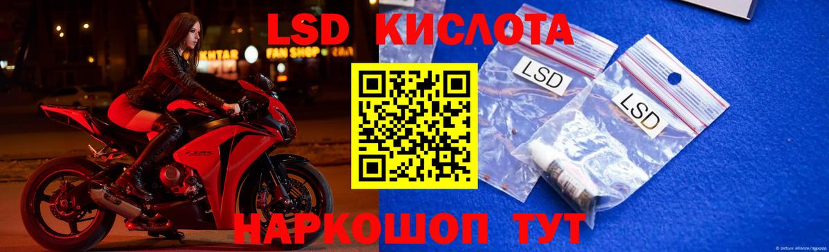LSD-25 экстази кислота  Вход с VPN  Курчалой  ЛСД экстази ecstasy 