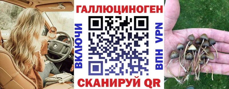 Галлюциногенные грибы прущие грибы  Курчалой 