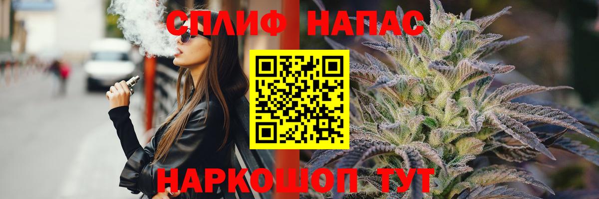 Бошки марихуана план Курчалой