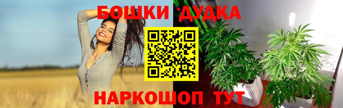 Бошки Шишки OG Kush  Вход с VPN  Бошки марихуана MAZAR  Шишки марихуана ГИДРОПОН  Курчалой  Шишки марихуана план 